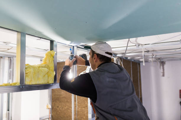 Best Insulation for New Construction  in Three Rivers, MI