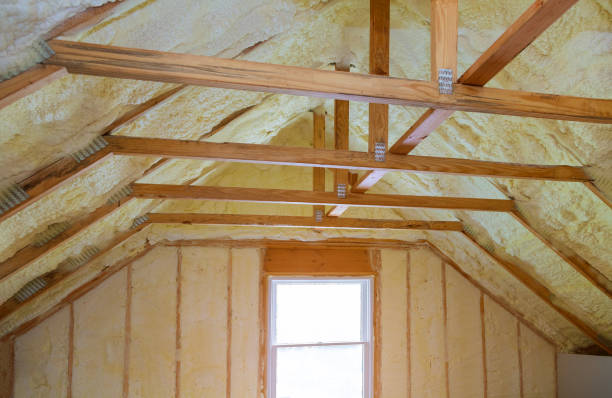 Best Affordable Insulation Services  in Three Rivers, MI