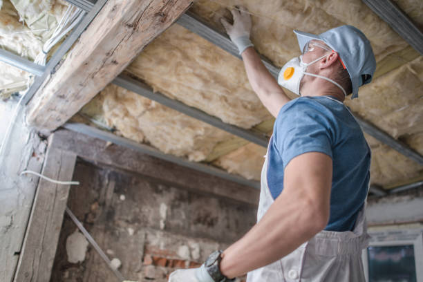 Best Soundproof Insulation Installation  in Three Rivers, MI