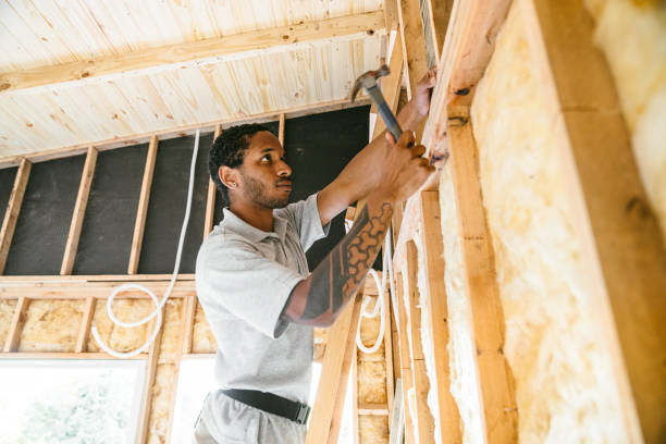 Best Insulation Contractors for Homes  in Three Rivers, MI
