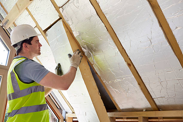 Best Insulation Removal  in Three Rivers, MI