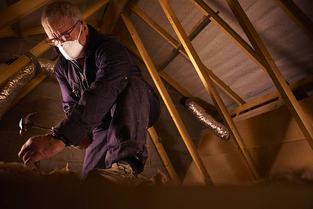 Best Insulation Replacement Services  in Three Rivers, MI